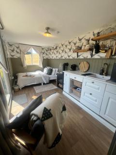 Cabin on the Moors - Llansannan - 3