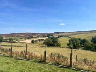 Cabin on the Moors - Llansannan - 7