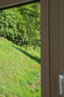 Radovna Riverside Apartment, A Peaceful Stay by the River near Bled - 4