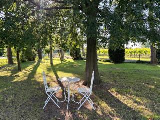 Agriturismo Villa Dei Gelsi - 4