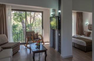 Kfar Giladi Hotel - 8