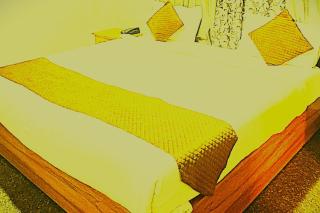 Samriddhi Resort Berhampore - 8