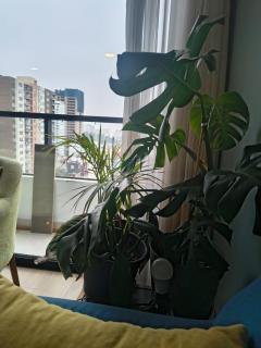 CC Living Home - 9