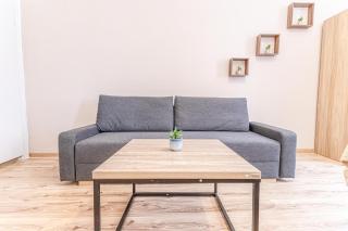 Stylish 1BR Apartment Near Schönbrunn & Westbahnhof Ideal for Longstays - 2