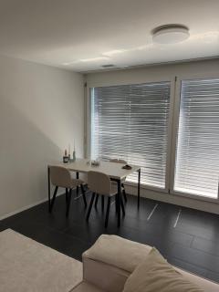 Modern apartment near Baden, gas station, highway - 3