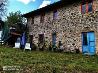 Agriturismo Paneolio - 1