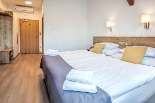 Hotel Slavia - 8