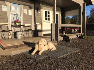 Arctic Camping Finland - 0