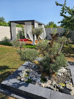 Olive Residence - 8