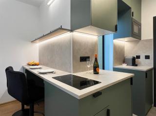 Cozy Emerald Studio Bratislava - 8