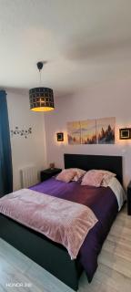 Gîte fabuleux, jardin, terrasse, parking - 8