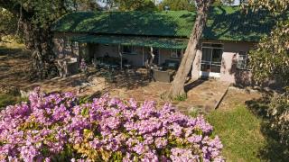 Fika Futi Safari Camp - 3