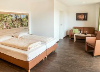 Pension Weingut Schwab - Thüngersheim - 4