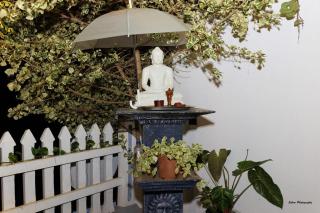 kaluketiya Boutique Villa in Dickwella Stay Near the Beach - 3