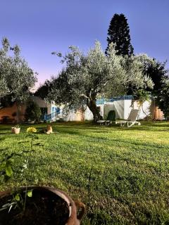Viktoria Garden villa privée - 7