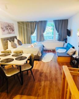 Ferienwohnung Schönblick inklusive Hallenbad, Sauna, Außenpool & Fitnessstudio, familienfreundlich ausgestattet, großes 2-Zimmer-Apartment - 9