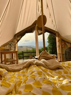 Glamping Bed and Breakfast Finca Alegria de la Vida - 0
