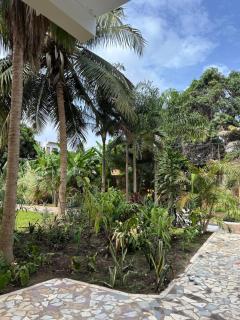 Palm Lodge - 9