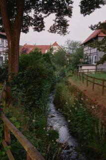 Cozy country house apartment in the Harz Mountains - 1