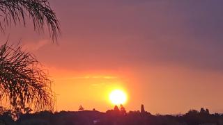 Crocus Corner - Kyalami - 7