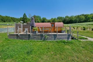 Le temps d'une bulle - Tiny house - Climatisation - 2