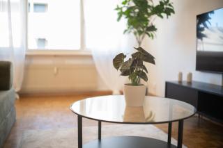 Central Vintage Apartment with BaselCard - 4