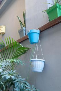 1290 The Boho House Garden 1BR, New Cairo - 3