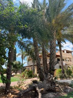 Elegant Villa with Jacuzzi & spacious garden - 6