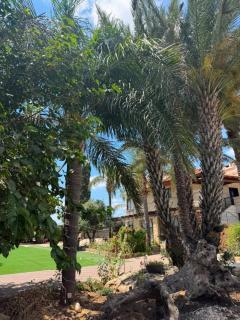 Elegant Villa with Jacuzzi & spacious garden - 3