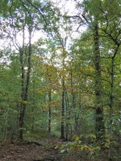 La Beaugerie - 8