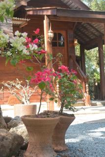 Sunny Mountain - 8