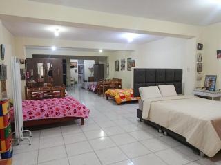 Entire House 2 Floors Free Airport Pickup - 4