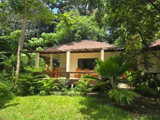 The Last Paradise - 0
