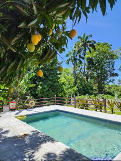 Bluebell at Tropical Apartments Tobago - 1