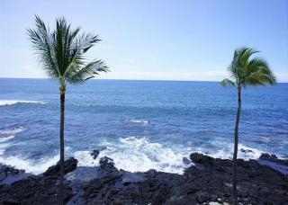 Kona Reef D37 - 9