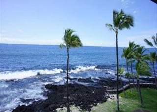 Kona Reef D37 - 3