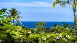 Hawaiian Honu House in Kahakai Estates - 6