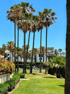 Luxury Apartment-Studio in Marbella - 5