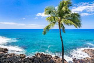 Hale Pohaku 3 - 7