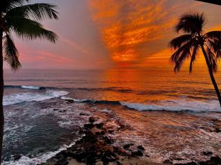 Kona Reef A32 - 0