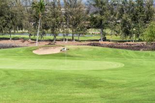 Fairway Villas Waikoloa C22 - 3
