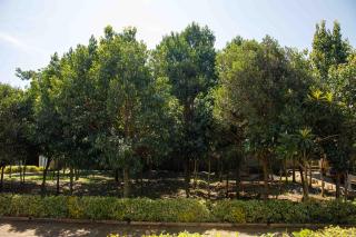 Aberdares View Residence Ol Kalou - 5