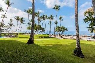 Kona Isle D1 - 0