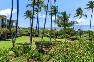 Vista Waikoloa D201 - Waikoloa - 6