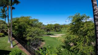 Mauna Lani Villages 407 - 4