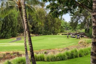 Waikoloa Beach Villas N3 - 4