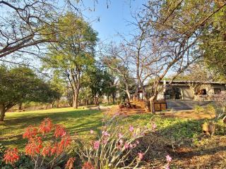 Thaba N'gala Private Safari Home - 4