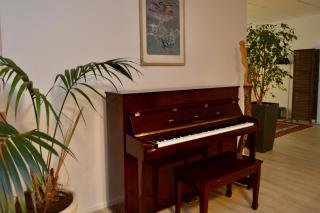 Stilvolles Loft Business Apartment an zentraler Lage in Solothurn - 3