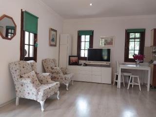 The Village - 1