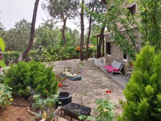 The Village 2 Bedroom Detached Villa with Shared Pool - 9